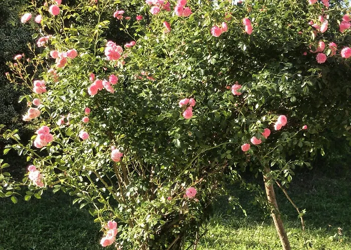 Casa Con Giardino E Vista Сasa de vacaciones Civenna